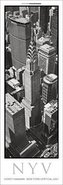New York Vertical 2021
