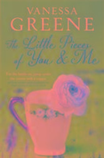 The Little Pieces of You and Me
