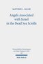 Angels Associated with Israel in the Dead Sea Scrolls