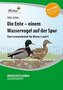 Die Ente - einem Wasservogel auf der Spur (Set)