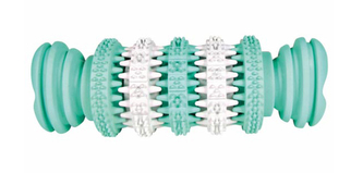 Kost s mátou TRIXIE DENTA FUN 11 cm