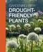 Gardening with Drought-Friendly Plants