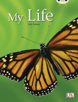 Bug Club Non-fiction Yellow C/1C My Life 6-pack