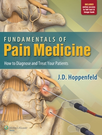 Fundamentals of Pain Medicine