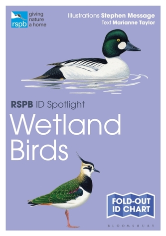 Rspb Id Spotlight - Wetland Birds
