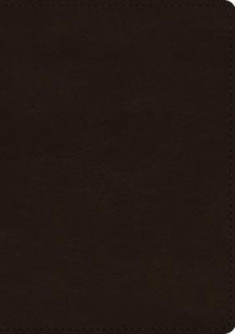 ESV Single Column Journaling Bible, Large Print