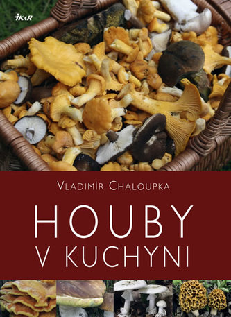 Houby v kuchyni Houby v kuchyni