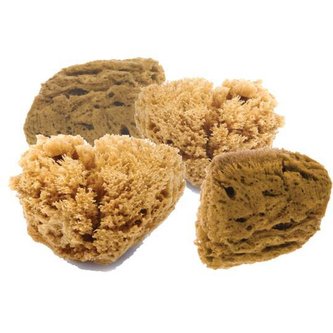 Natural Intimacy Mořská mycí houba na pleť 4M