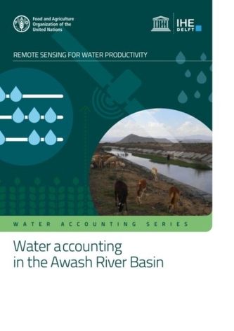 Water accounting in the Awash River Basin