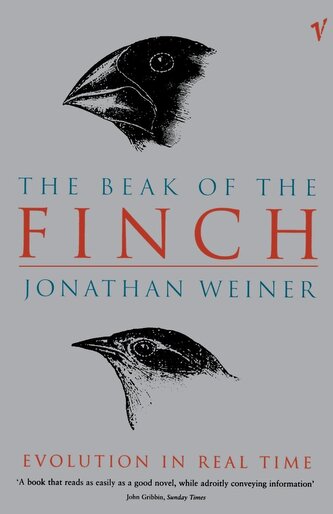 The Beak Of The Finch