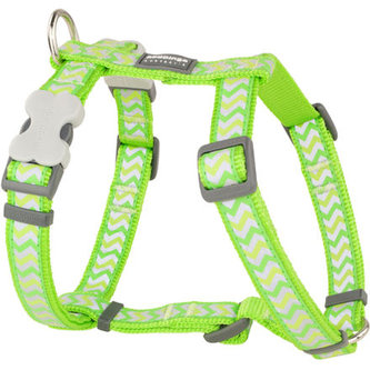 Postroj RD 15 mm x 36-54 cm - Ziggy Rfx- Limetková