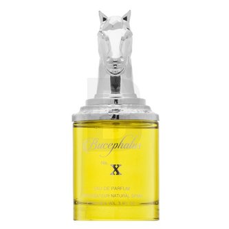 Armaf Bucephalus No. X - EDP 100 ml man