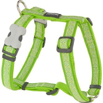 Postroj RD 25 mm x 71-113 cm - Daisy Chain Lime