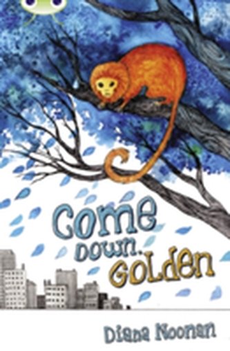 Bug Club Independent Fiction Year 3 Brown A Come Down, Golden
