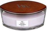 WoodWick Ellipse Wild Violet 453,6g