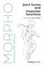 Morpho: Joint Forms and Muscular Functions