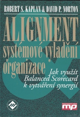 Alignment - systémové vyladění organizac