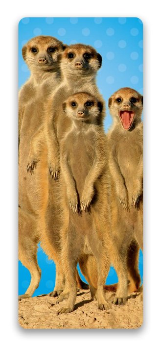 3D záložka Surikaty - Záložky do knihy