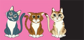 Přání do obálky P