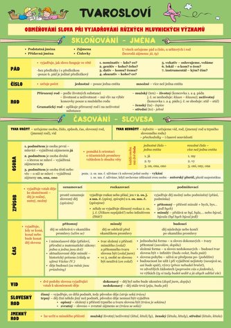 Český jazyk – Tvarosloví Český jazyk – Tvarosloví