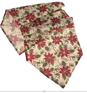 Běhoun s vánoční hvězdou