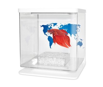 CATGATO Betarium Betta kit world map 2l