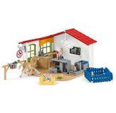 Schleich Veterinární ordinace pro domácí zvířata