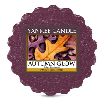 Yankee Candle Vonný vosk Autumn glow 22g
