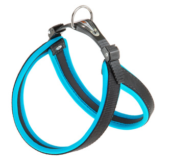 Postr.FER AGILA FLUO 2 HARNESS BLUE