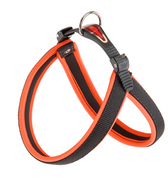 Postr.FER AGILA FLUO 4 HARNESS ORANGE