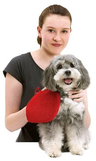 KARLIE cistici rukavice cervena 24x16cm