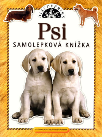 Psy