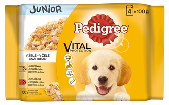 Kap.PEDIGREE Junior kureci+ryze a ryze+hovezi 4x100g