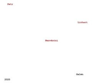 Nezvěstní Nezvěstní