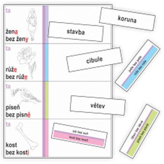 Vzory podstatných jmen - kartičky k procvičování třídění slov podle vzorů podstatných jmen