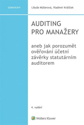 Auditing pro manažery