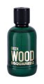 Dsquared2 Green Wood Toaletní voda 100 ml pro muže