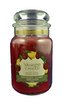 Yankee Candle Classic velký 623g Spiced Apple - limitovaná edice