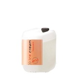 Inebrya Ice Cream Frequent regenerační šampon pro každodenní použití 10l