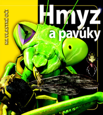 Hmyz a pavúky