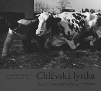 Chlévská lyrika