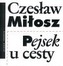 Pejsek u cesty