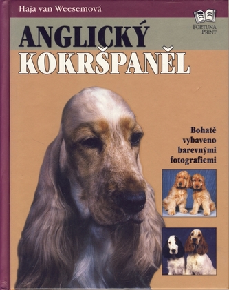 Anglický kokršpaněl Anglický kokršpaněl