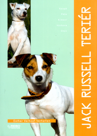 Jack Russel teriér