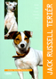Jack Russel teriér