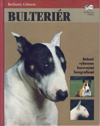 Bulteriér Bulteriér