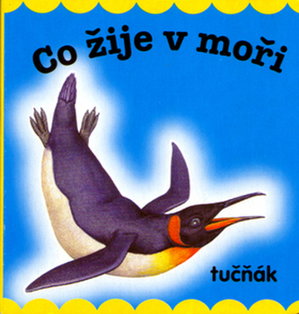 Co žije v moři