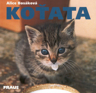 Koťata