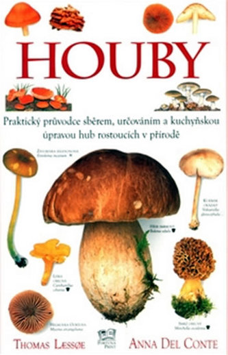 Houby