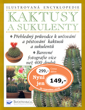 Kaktusy a sukulenty